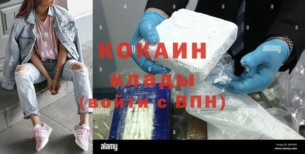 кокс Бородино
